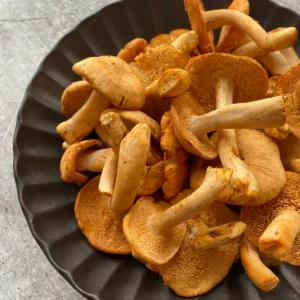 Wild Hedgehog Mushrooms - 1 lb