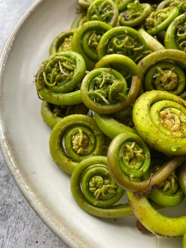 Lady Fiddlehead Ferns, 1 lb. - Image 5