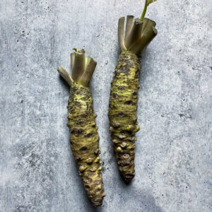 Fresh Wasabi Rhizome, Misho Variety