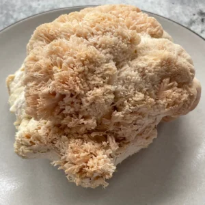 Lion's Mane Mushrooms