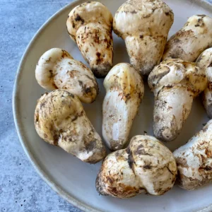 Wild Matsutake (Pine Mushrooms)