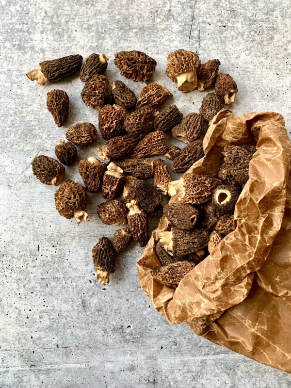Himalayan "Gucchi" Black Morels - Image 2