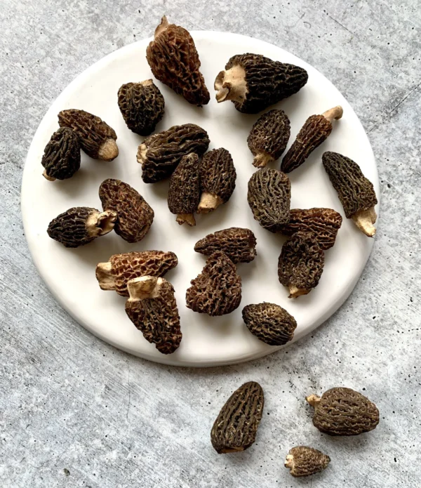Plate full of Himalayan "Gucchi" Black Morels