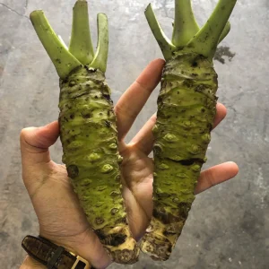 Green Stem Wasabi