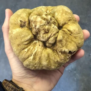Truffles