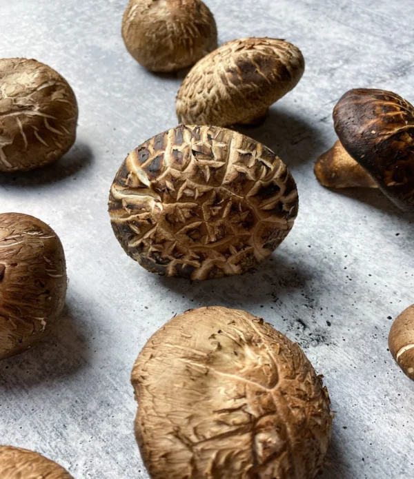 Donko Flower Shiitake mushrooms