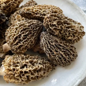 Wild Pacific Northwest Morels