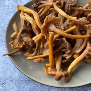 Wild Yellowfoot Chanterelles, 1 lb.